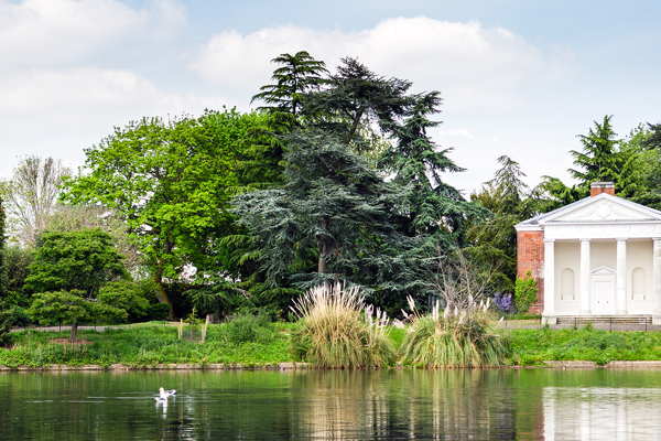 Temple Lake View