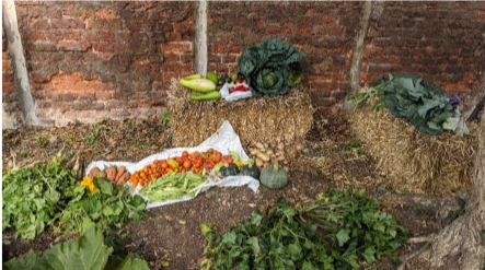Community garden produce