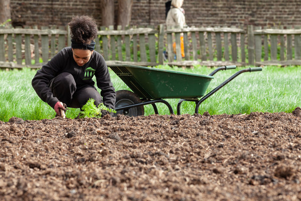 Gardening Volunteers Community Garden 2