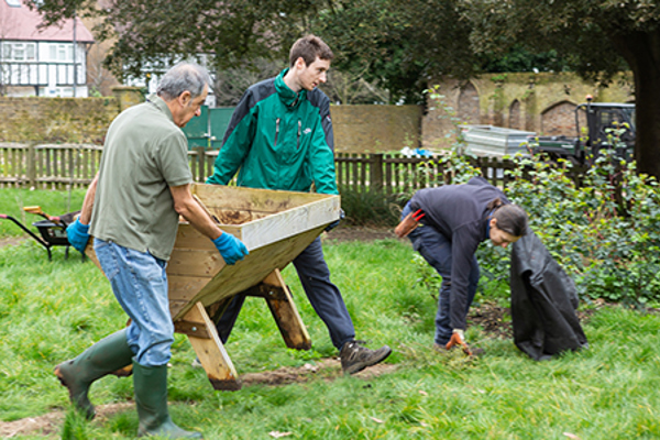 Gardening 43