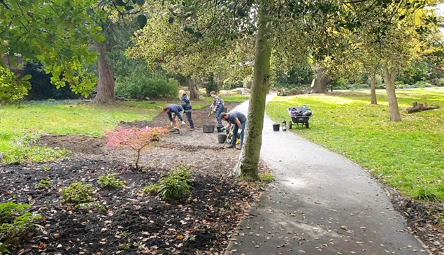 gardeners digging in the park
